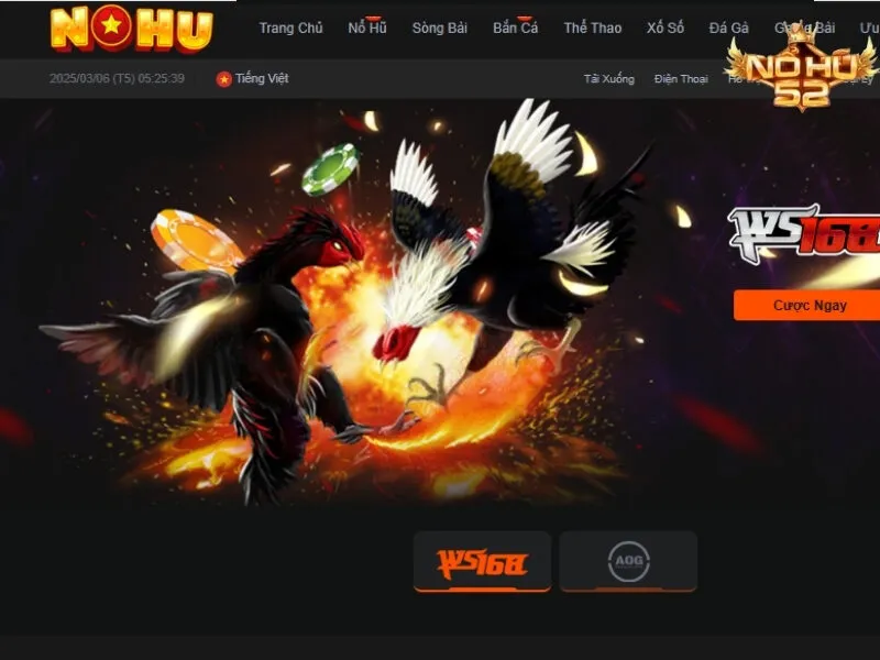 Tìm hiểu chung về tựa game đá gà Nohu52